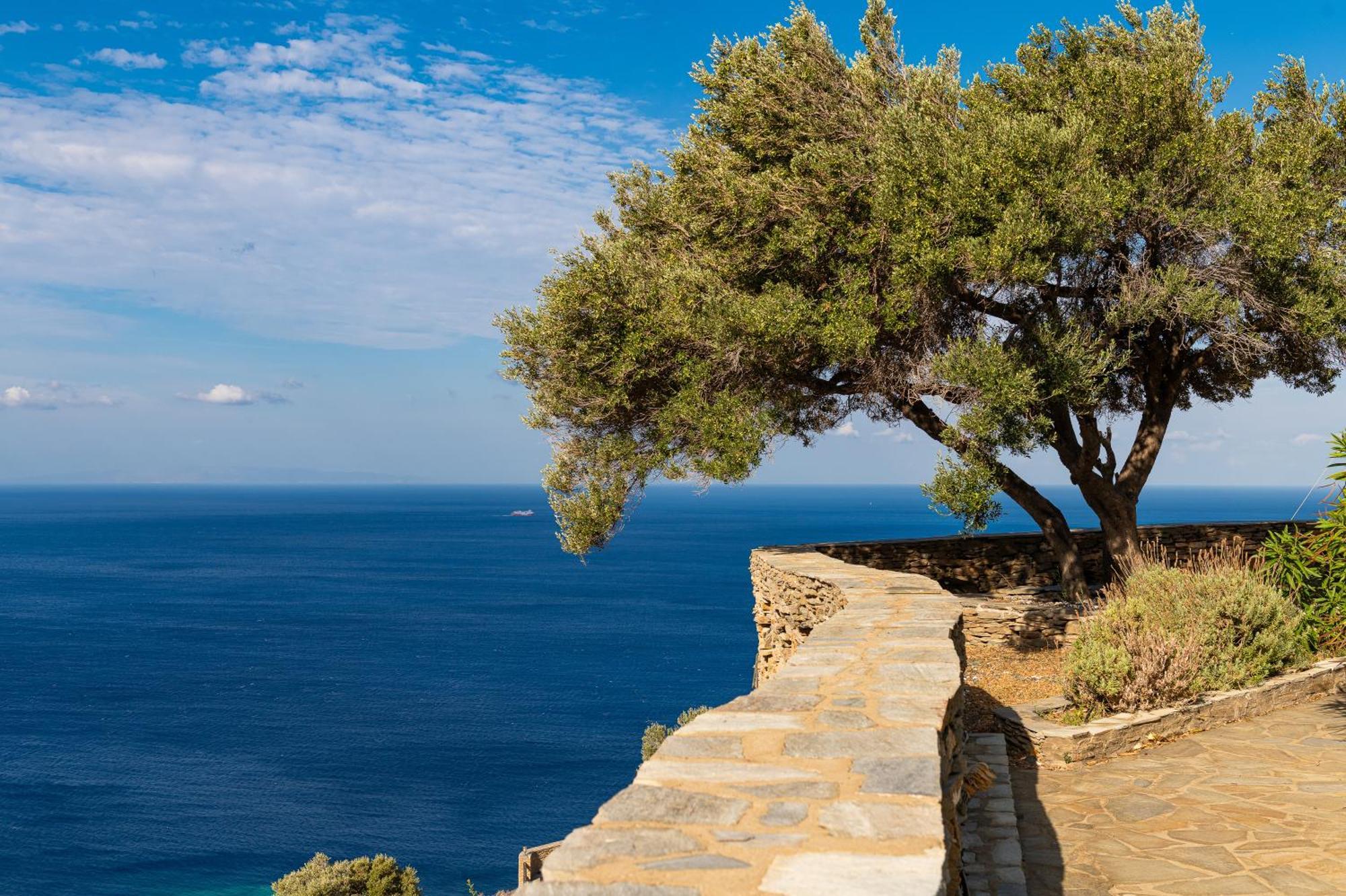 Andros Serenity Retreat - Adults Only Episkopion  Eksteriør billede